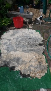 20150527_111903