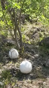 20150604_135514